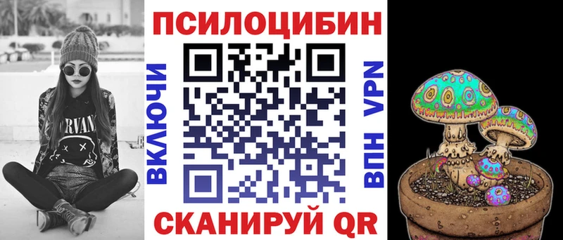 Псилоцибиновые грибы Psilocybe  где купить   Белёв 